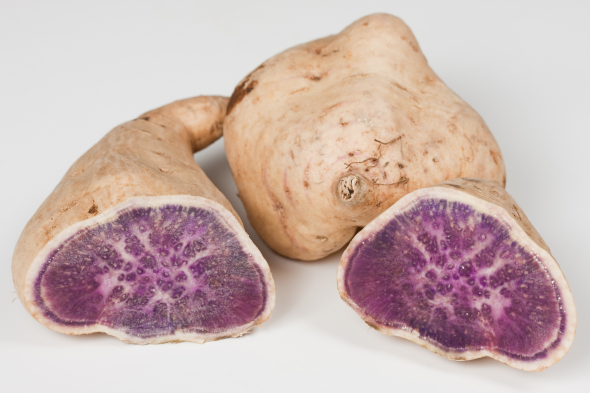 Vegetal pouco conhecido explica porque as pessoas vivem até aos 100 anos